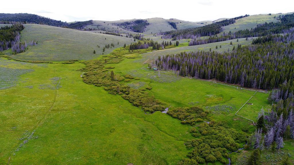 tbd Mcdevitt Creek Road - Photo 1