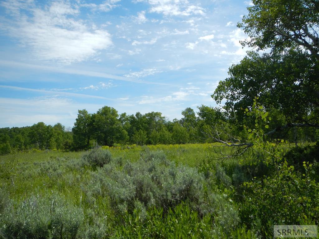 1598 Sharptail Road - Photo 1