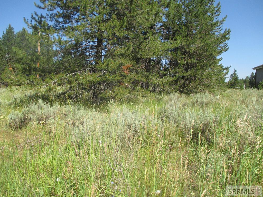 TBD Pinehaven Drive - Photo 1
