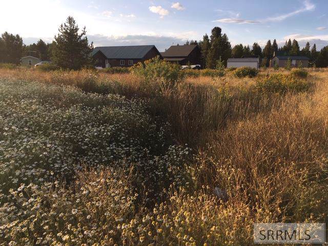 3415 Chestnut Drive - Photo 1