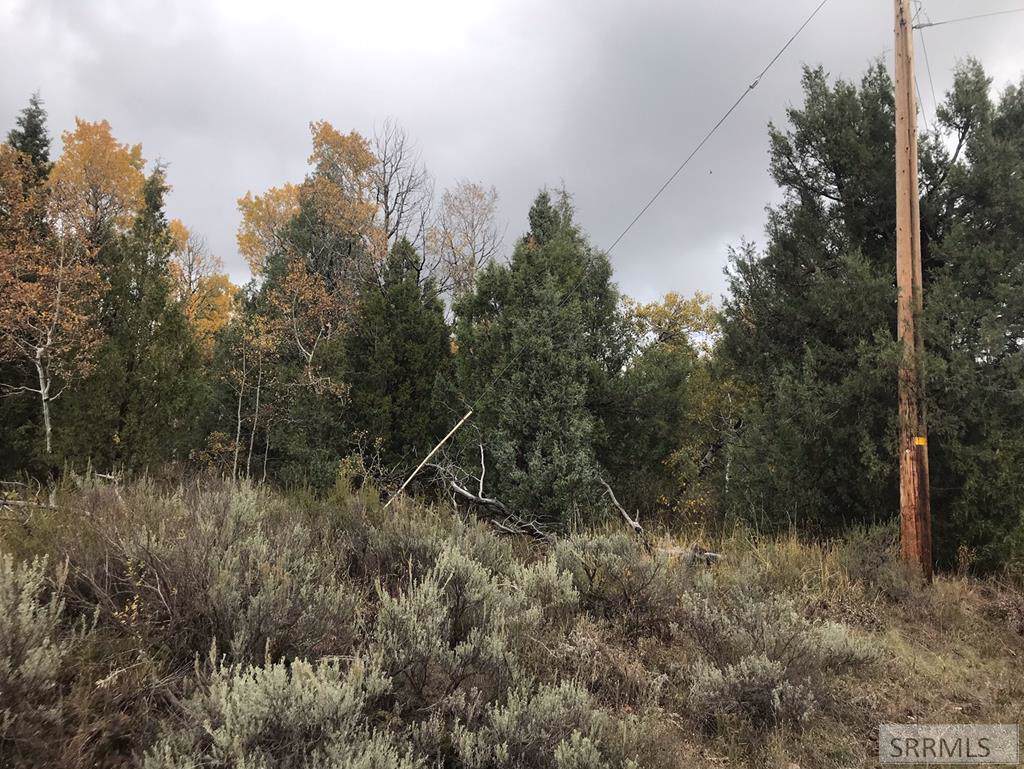 1862 Teepee Lane - Photo 1