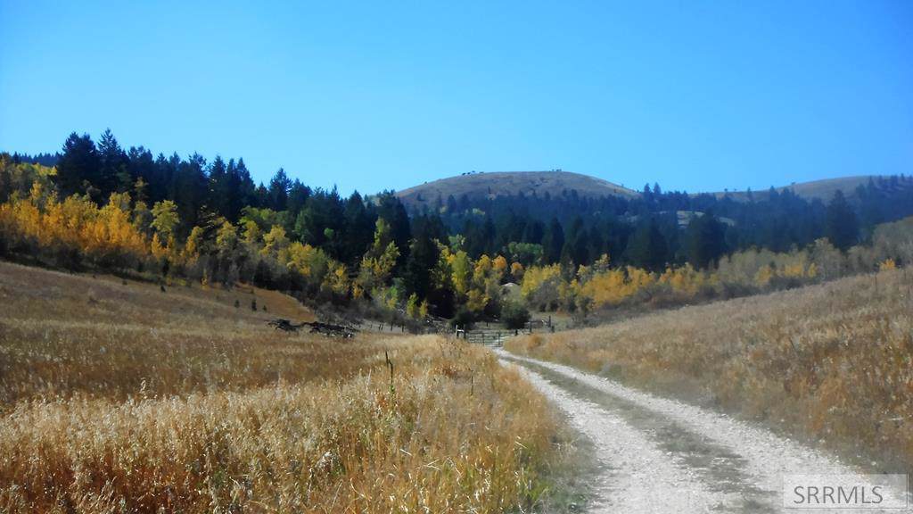 TBD Snake River Road - Photo 1