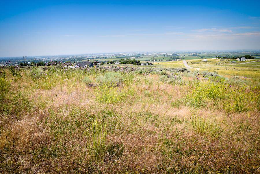 5350 Camila Lane - Photo 1