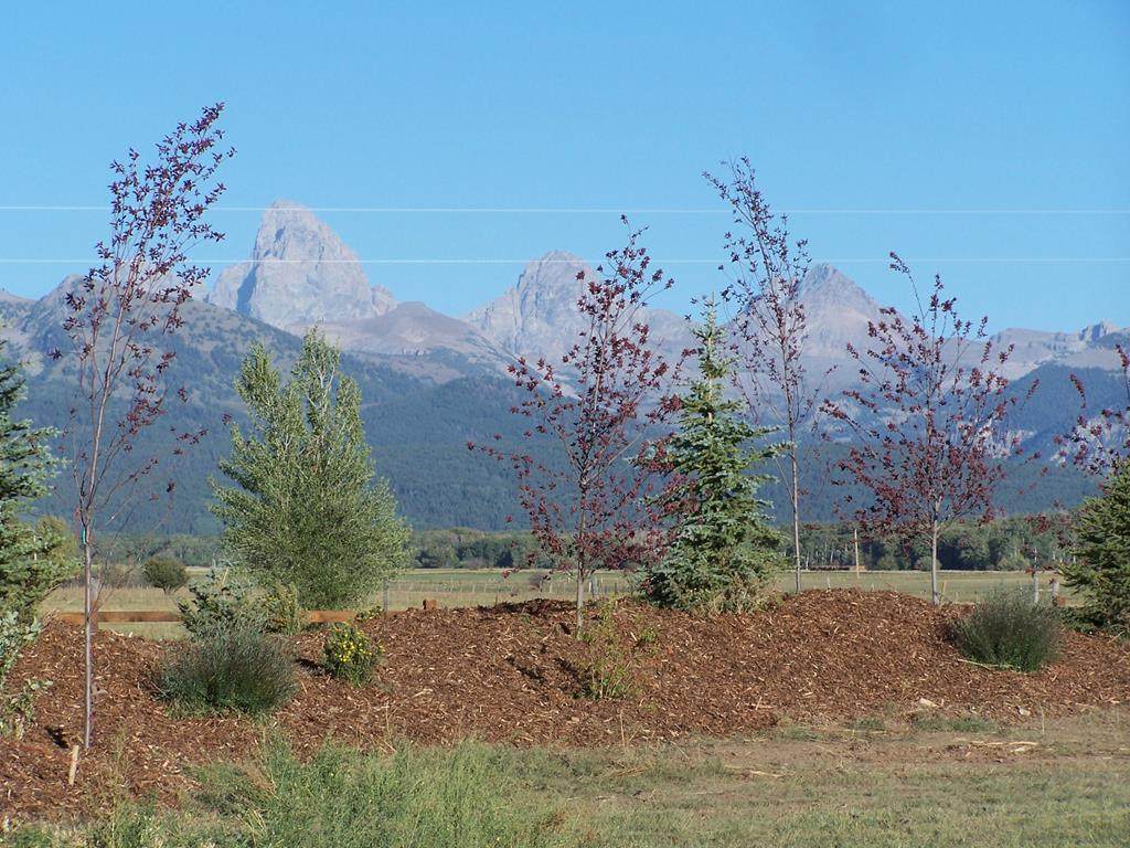 #15-1234 Leigh Meadows - Photo 1