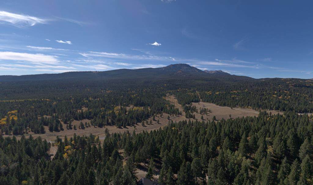 4911 Alpenglow Road - Photo 1