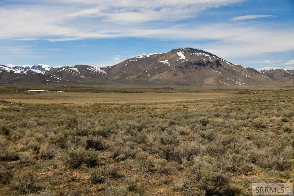 TBD Blizzard Mountain Road - Photo 1