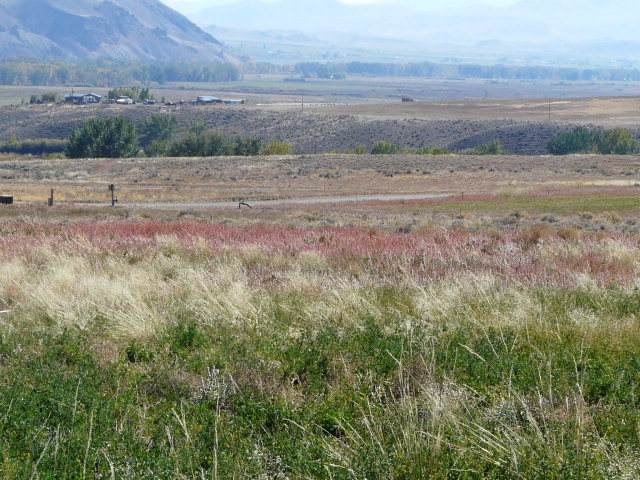 Lot 28 Stephens Gulch - Photo 1