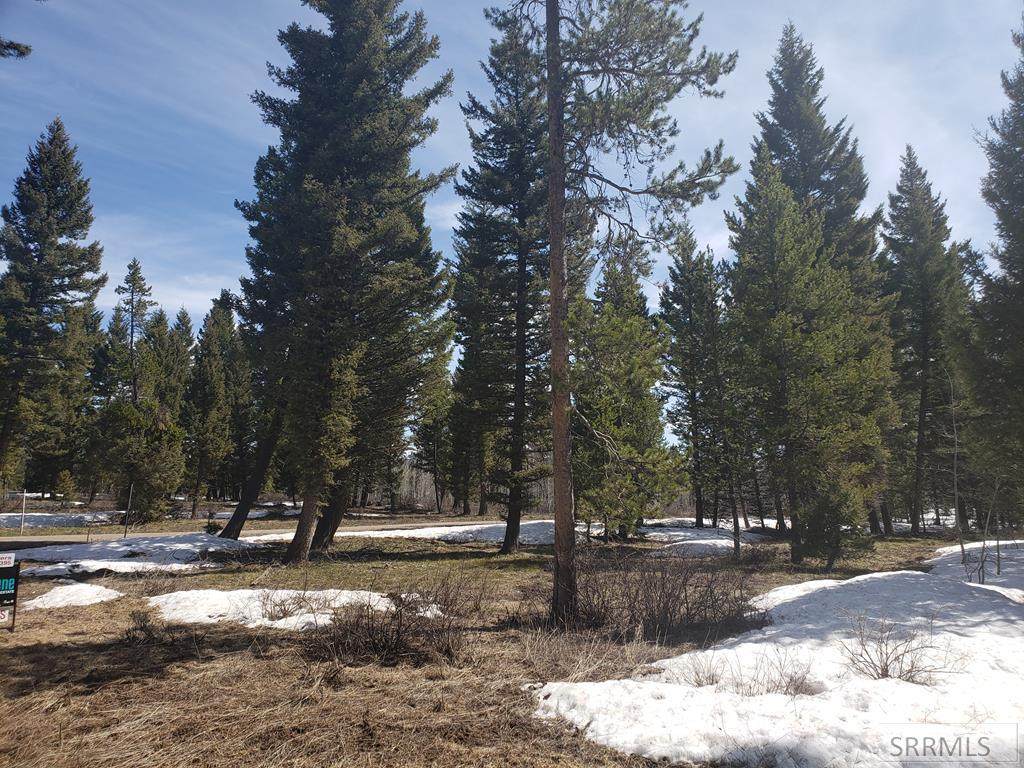 2822 Sage Hen Drive - Photo 1