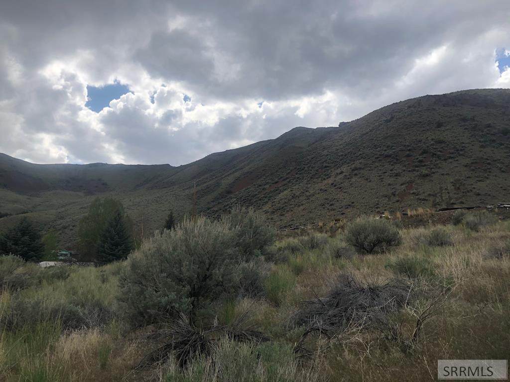 999 Old Stage Road - Photo 1