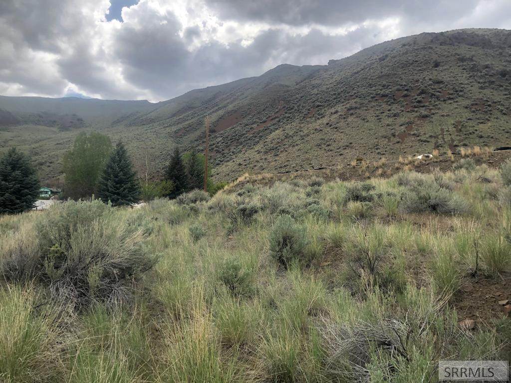 TBD Old Stage Road - Photo 1