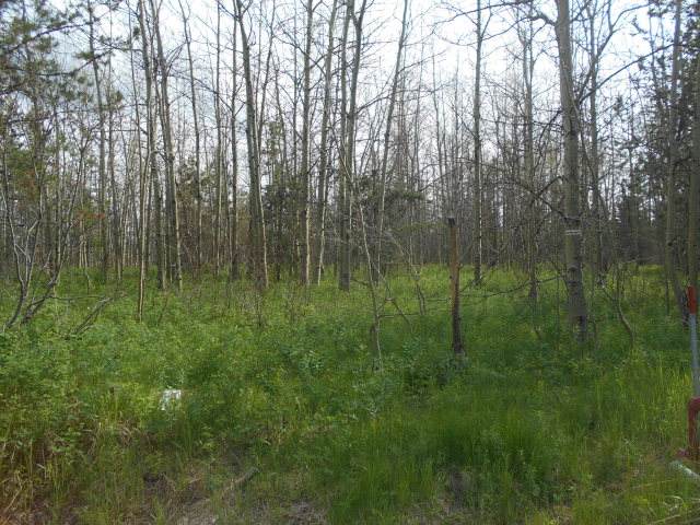 4328 Bridger Ridge - Photo 1