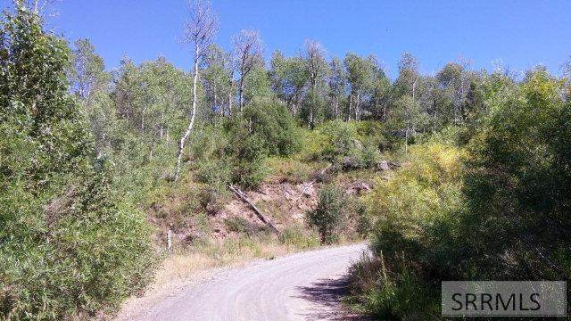 1850 Cedar Ridge Road - Photo 1