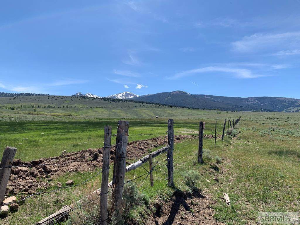 TBD Lee Creek Road - Photo 1