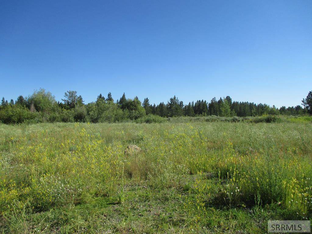 3300 Hwy 20 - Photo 1