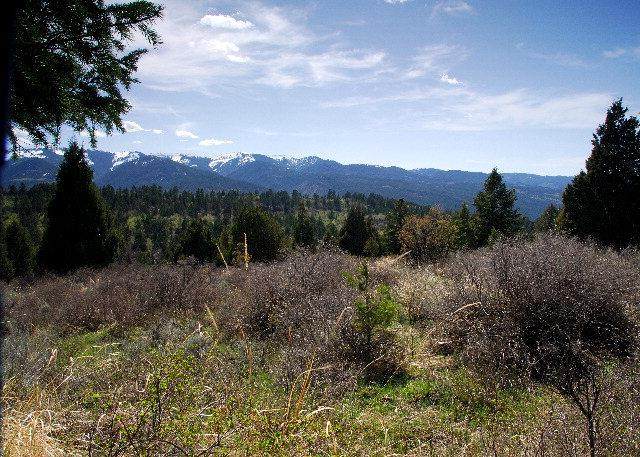 Lot34B3 Cutthroat Run - Photo 1