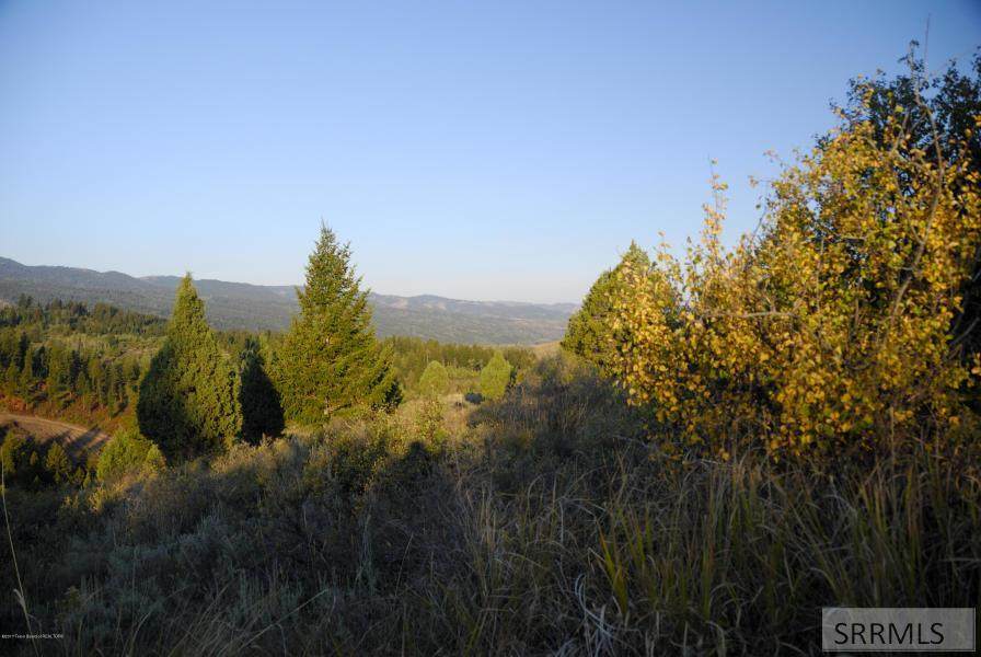 Lot46B1 Cutthroat Run - Photo 1