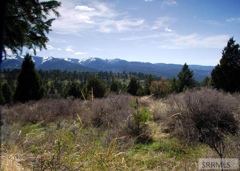 Lot11B2 Cutthroat Run - Photo 1