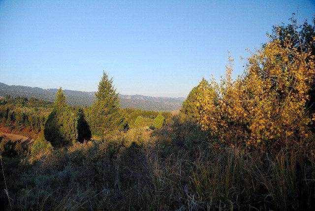 Lot55 B4 Cutthroat Run - Photo 1