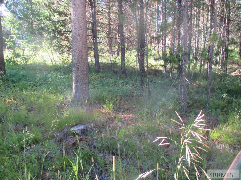 3507 Pinehaven Drive - Photo 1