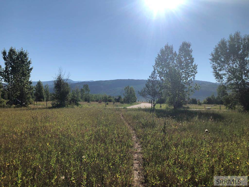 7308 Lupine Lane - Photo 1
