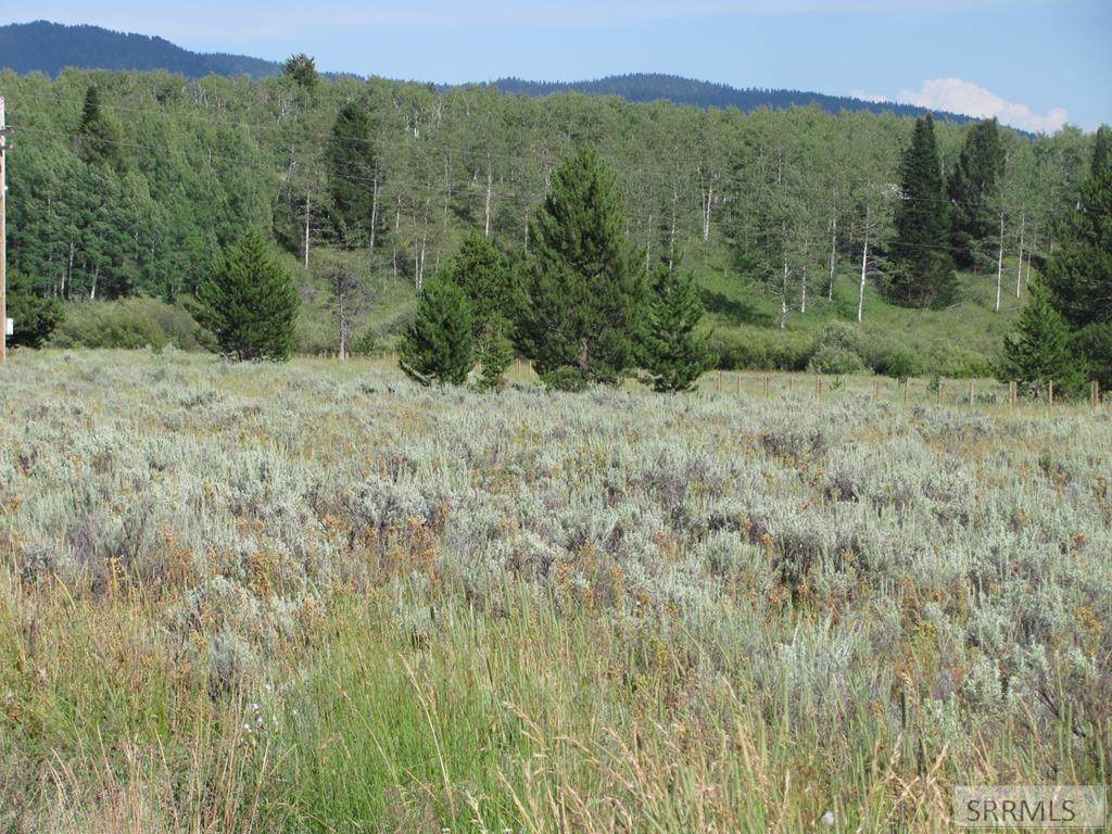 TBD Cutthroat Loop - Photo 1