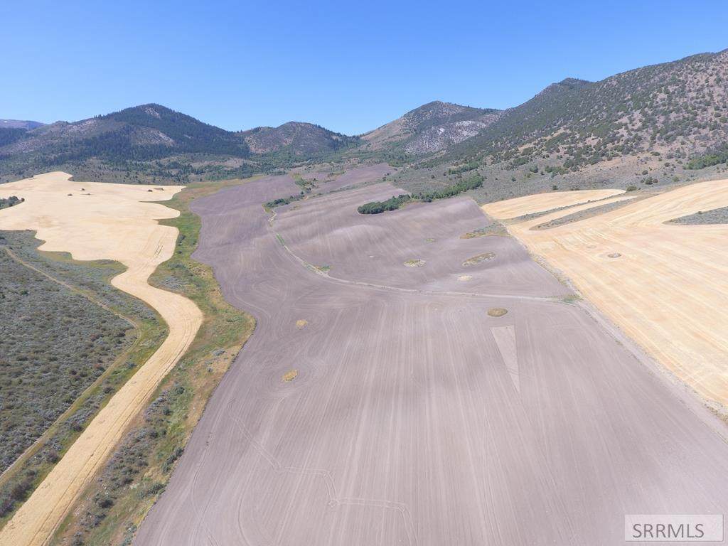TBD Wide Hollow Road - Photo 1