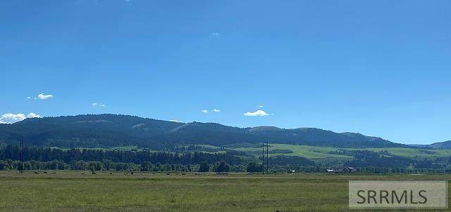 45 AC Golden Eye Drive - Photo 1