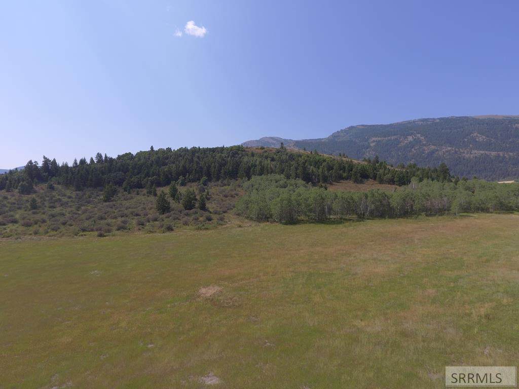 TBD Fish Creek Road - Photo 1