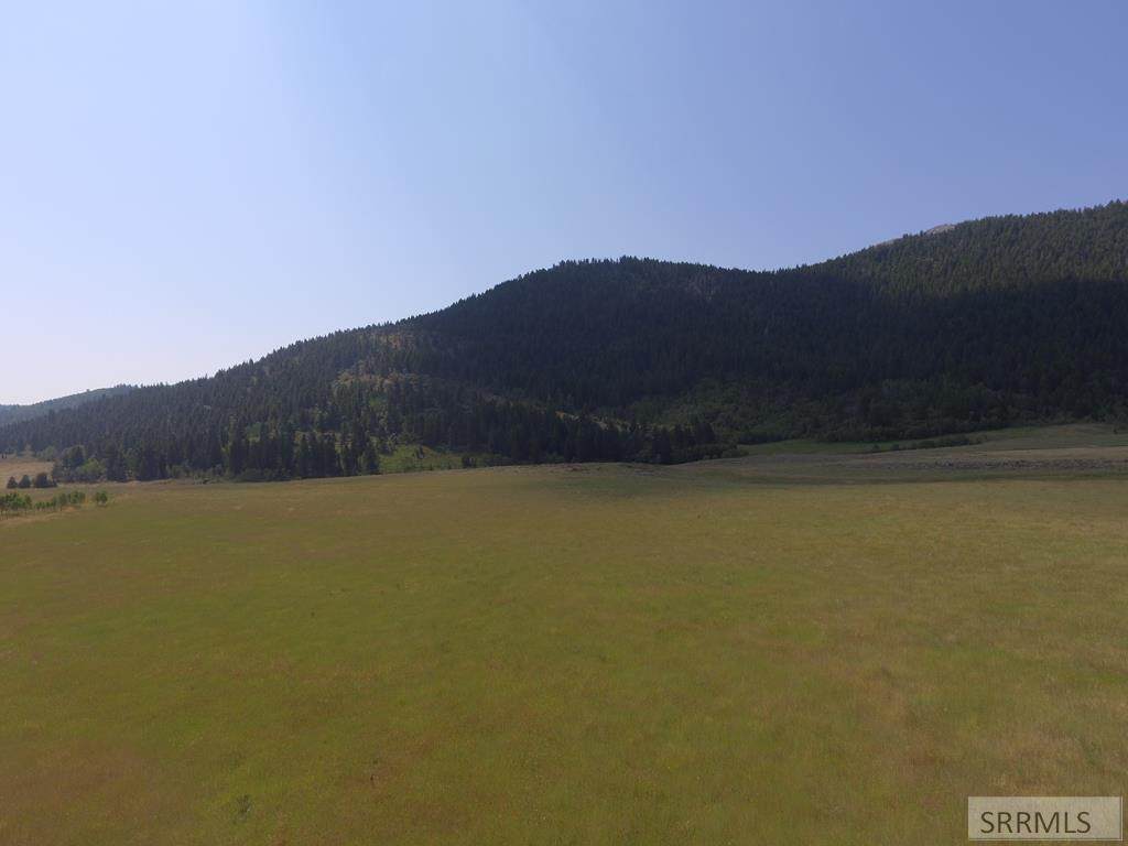 TBD Fish Creek Road - Photo 1
