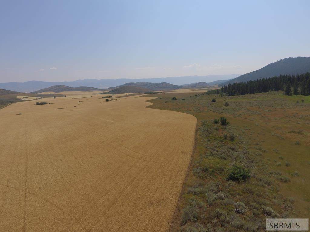 TBD Fish Creek Road - Photo 1