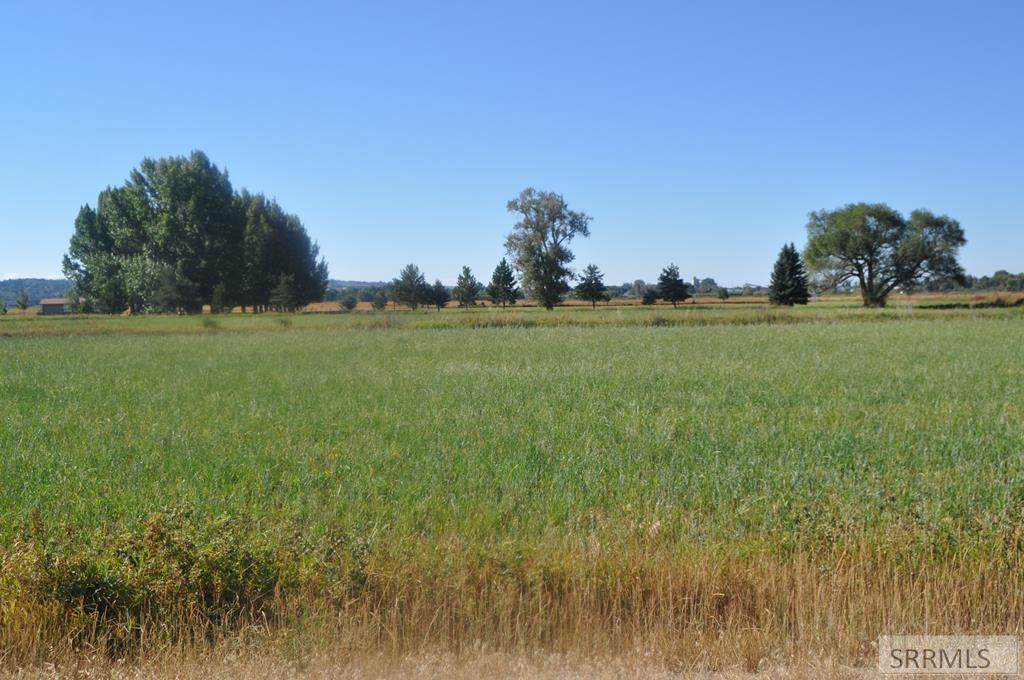 TBD Moran View Road - Photo 1