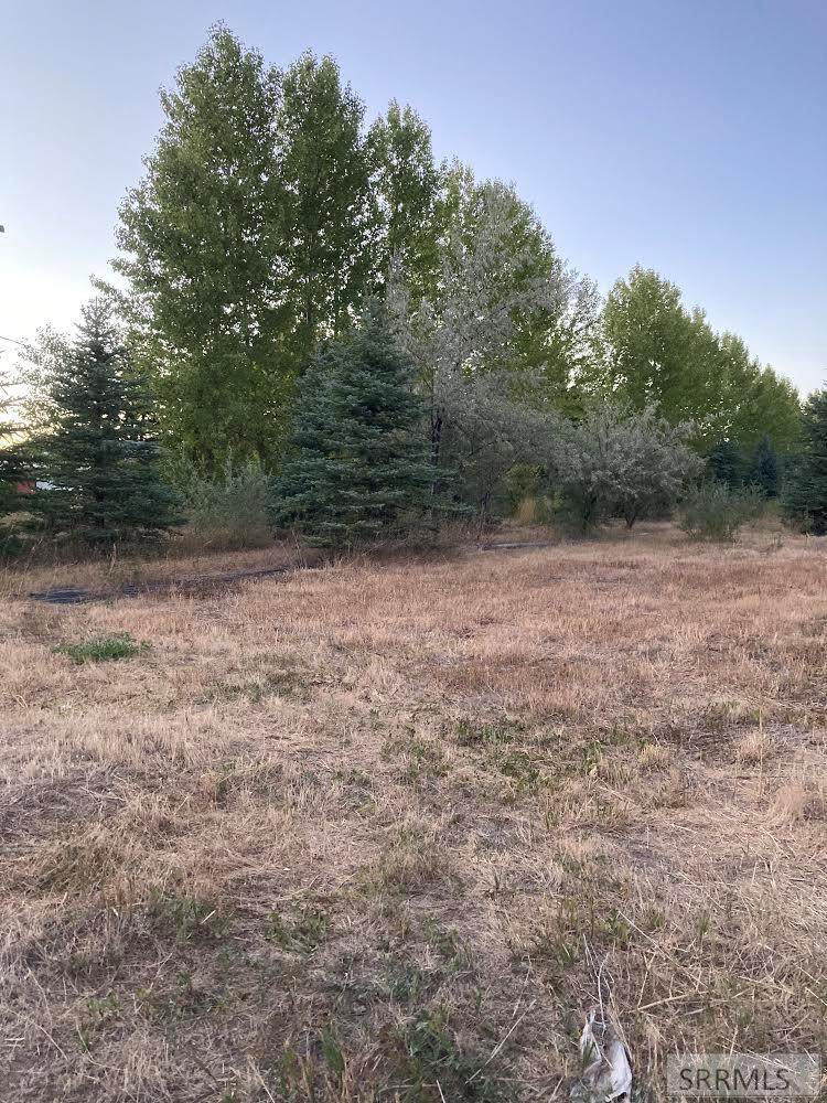tbd Sunnyside Road - Photo 1