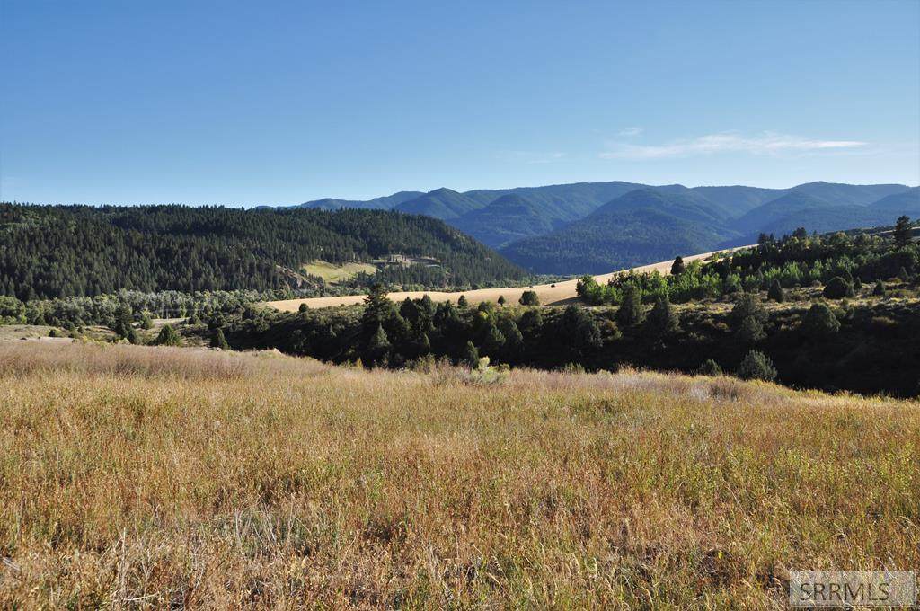 TBD Trail View Road - Photo 1