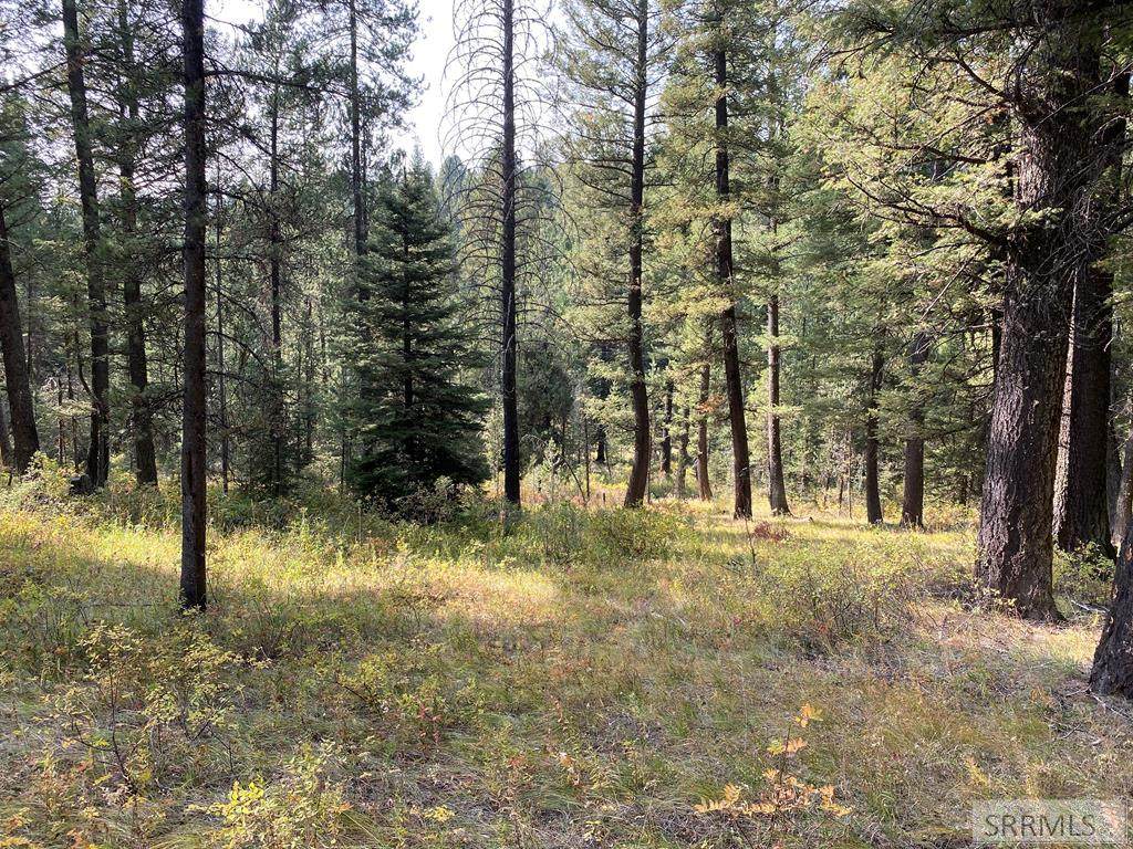 4188 Pine Crest Drive - Photo 1