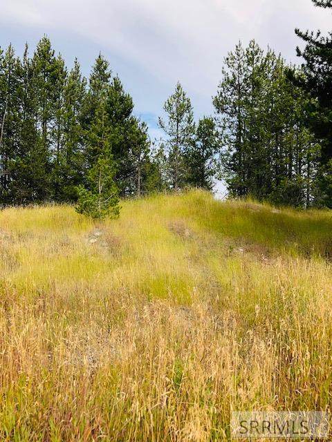 TBD Quakie Lane - Photo 1