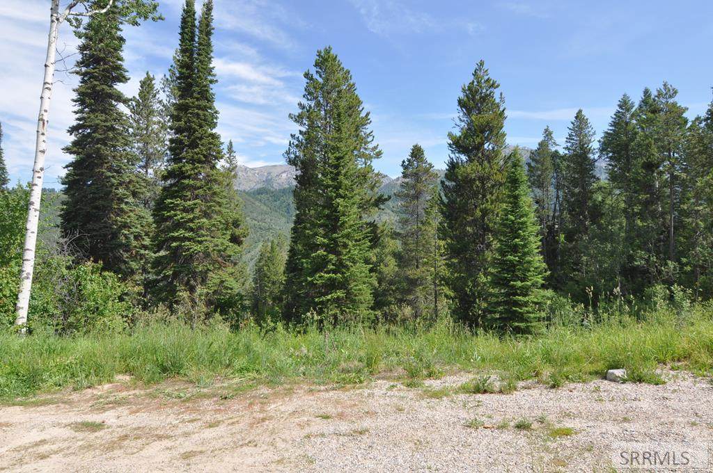 TBD Big Timber Lane - Photo 1