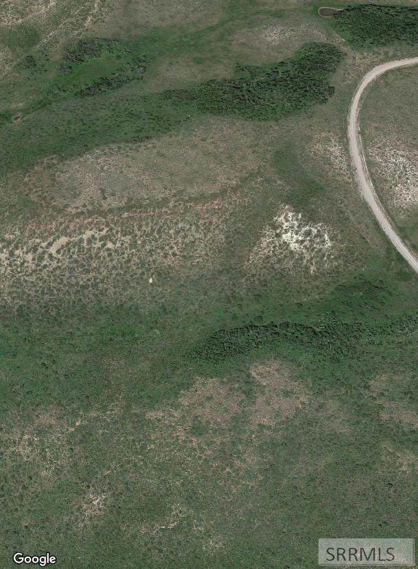 TBD Mule Deer Drive - Photo 1