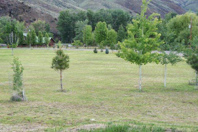 TBD- B Bluebird Circle - Photo 1