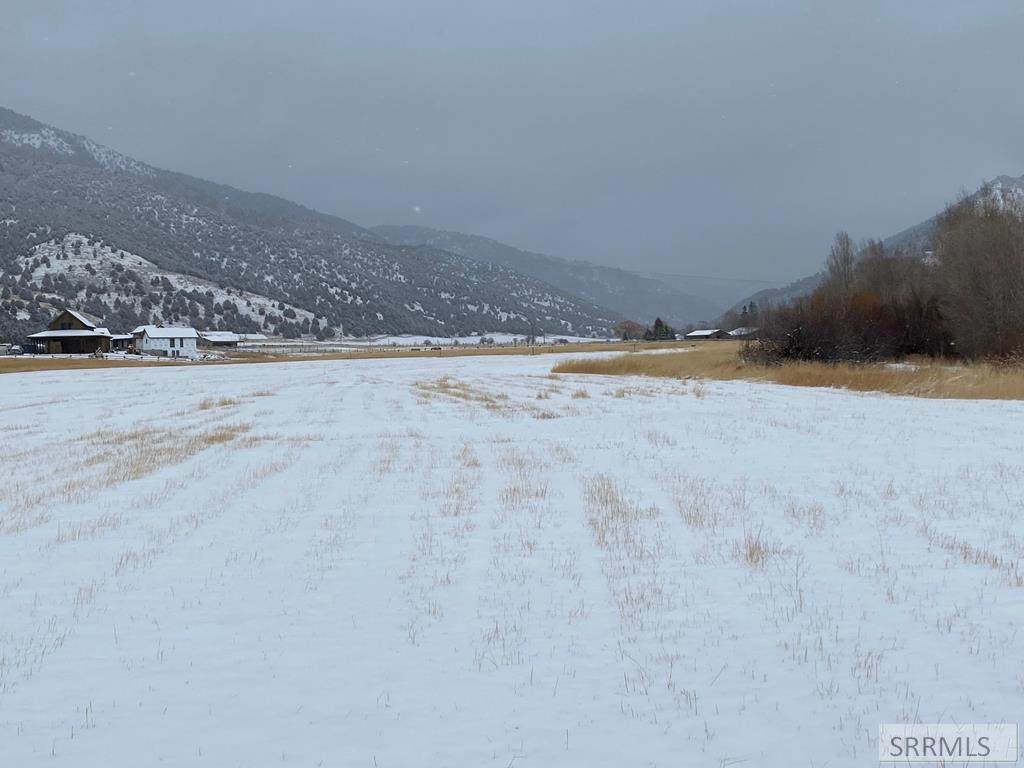 Lots 5-6 Swan Valley Meadows Drive - Photo 1