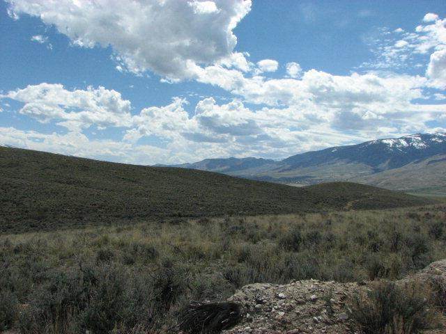 3 Black Hawk Ridge - Photo 1