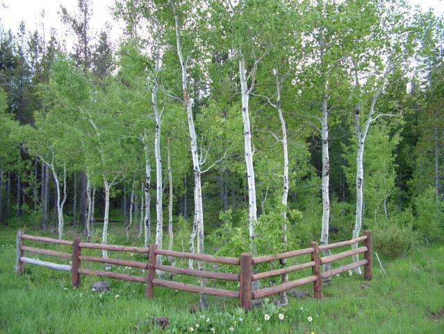 4498 Stone Run Drive - Photo 1