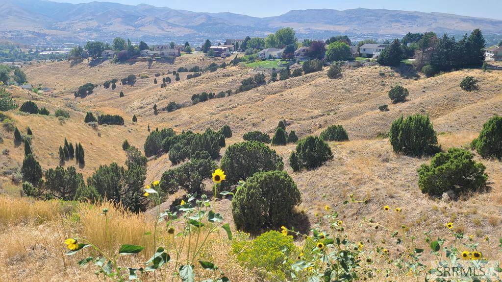 Lot 44 Mount Mcguire - Photo 1