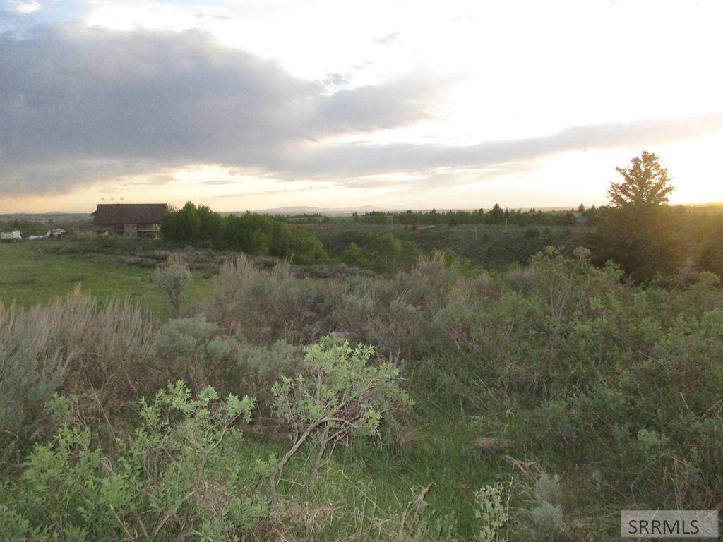 1567 Rim Loop Road - Photo 1