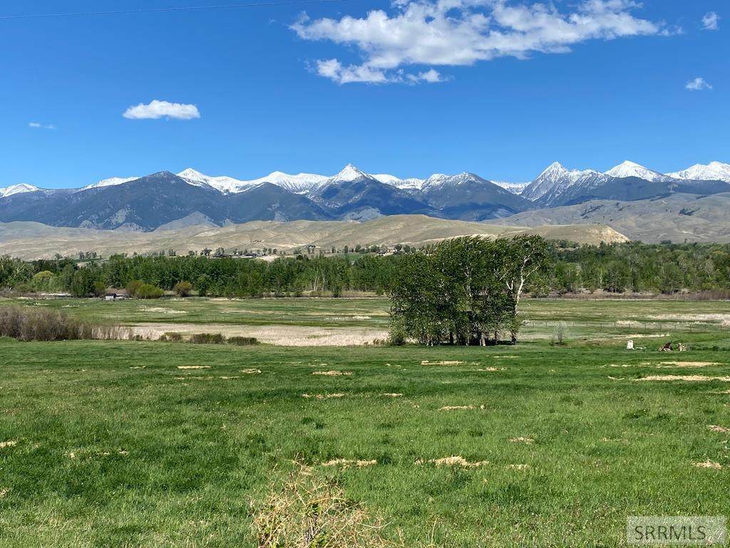 TBD Diamond Creek Road - Photo 1