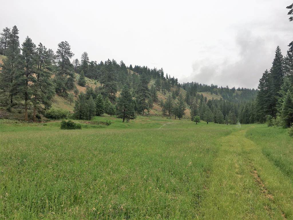 999 Dry Gulch Road - Photo 1