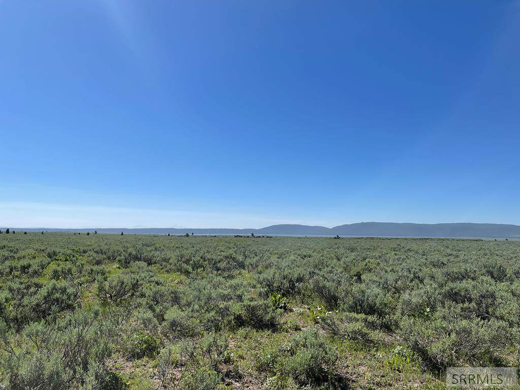 2850 Morning Dew Drive - Photo 1