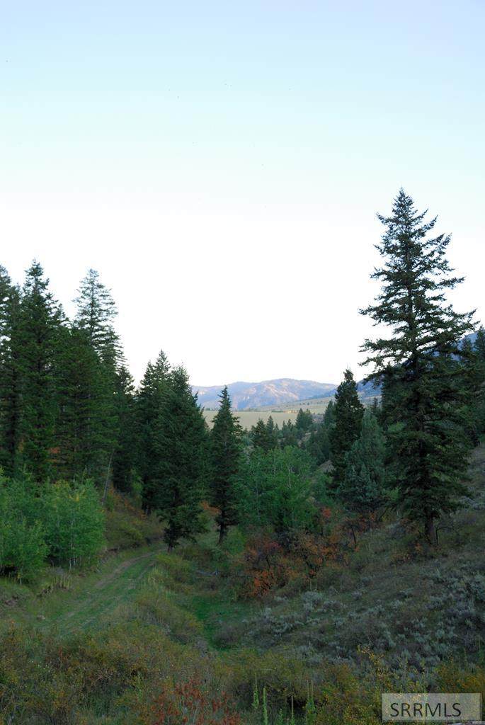 L52B4 Cutthroat Run - Photo 1