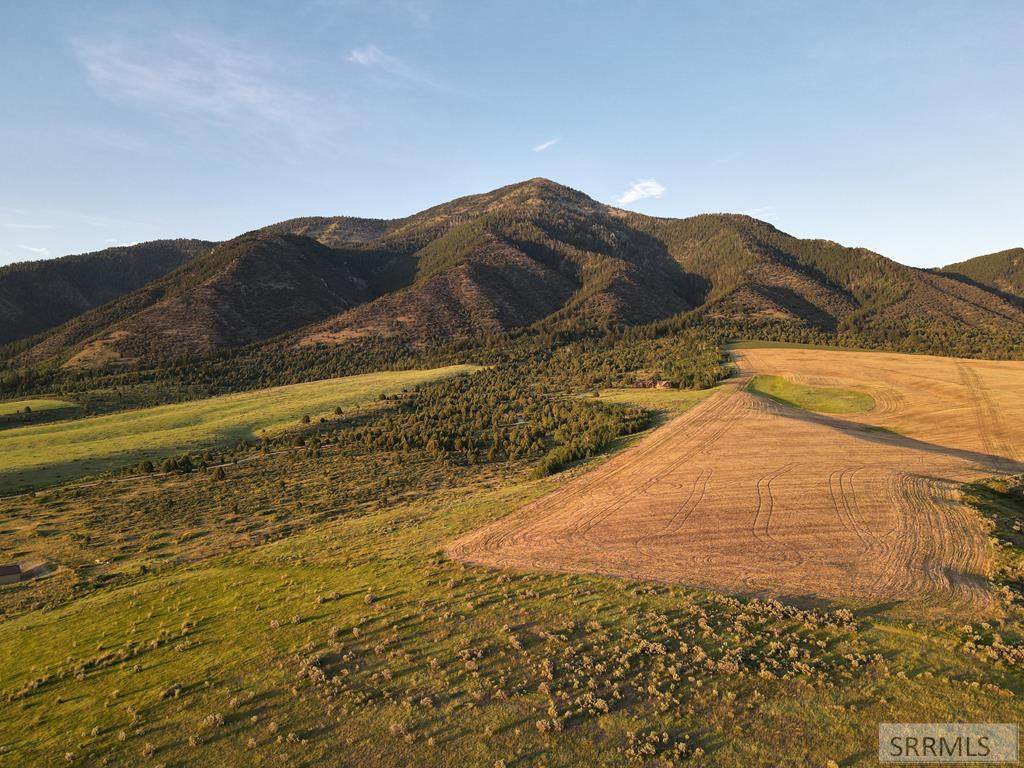 Lot 4 Sumac Loop - Photo 1