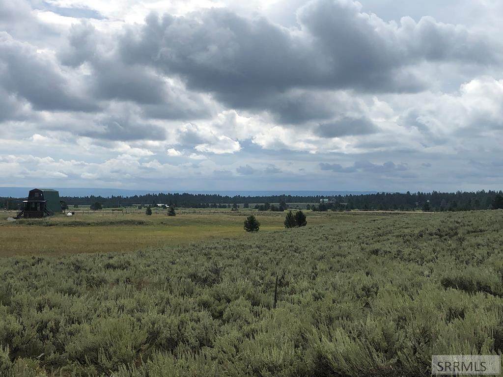 3998 Richard Street - Photo 1
