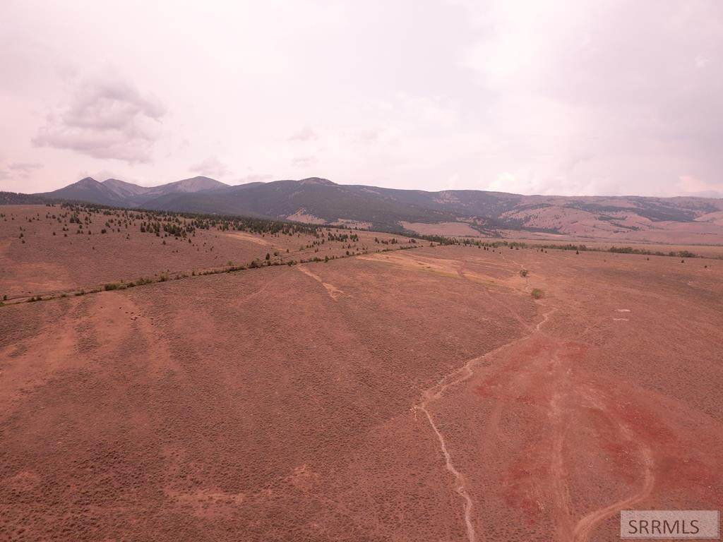 Lot 4 Lee Creek Road - Photo 1